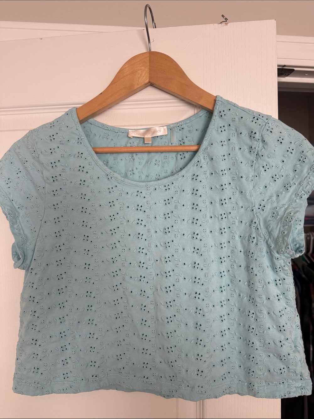 LoveShackFancy Light Blue Eyelet Crop Top